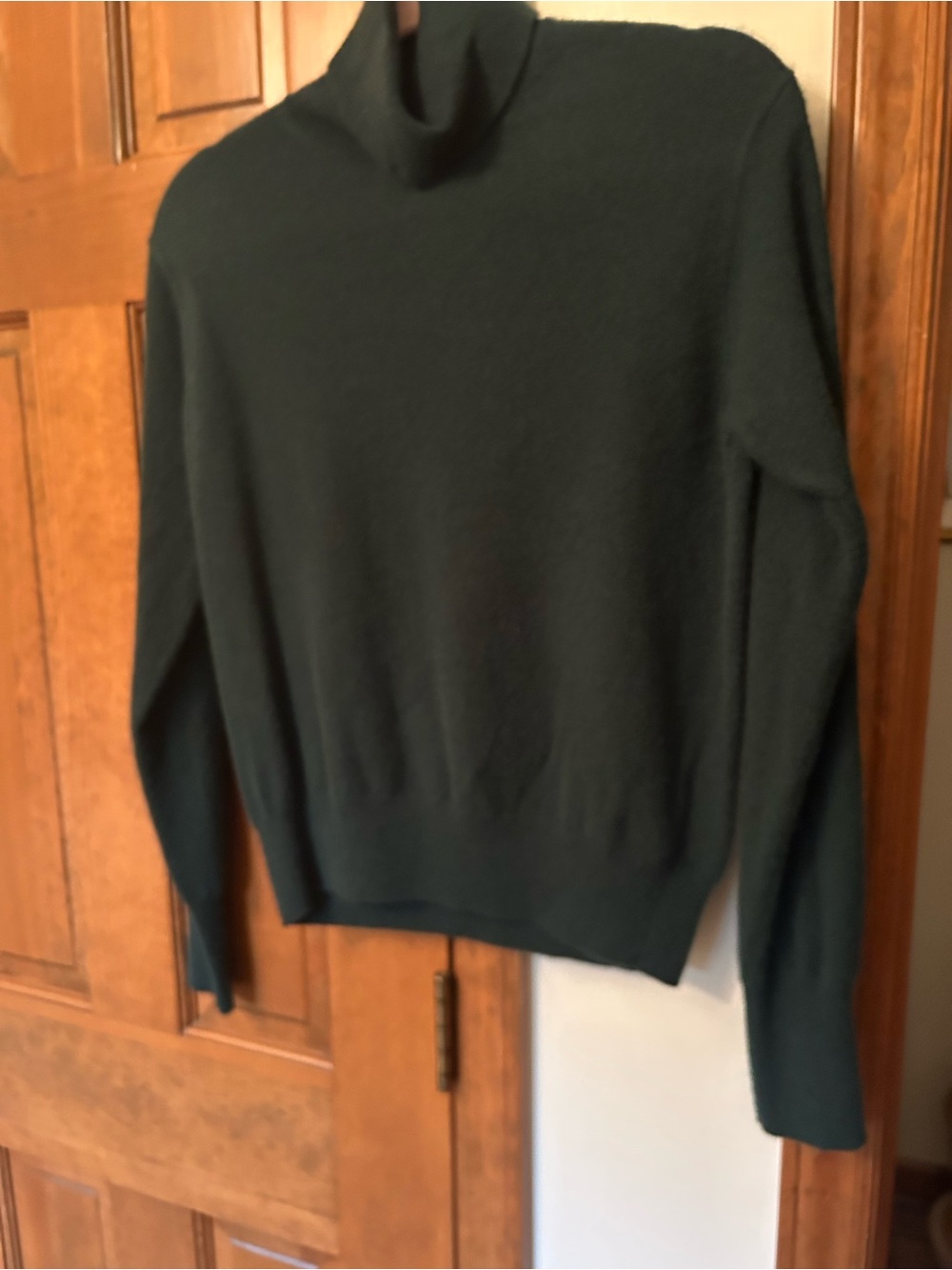 Tuckernuck cashmere Forest Green Turtleneck Sweater
